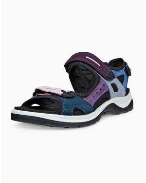 Ecco Offroad Nubuck Outdoor Walking Sandals - Blue