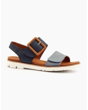 Lunar Gabby Jlh581 - Blue
