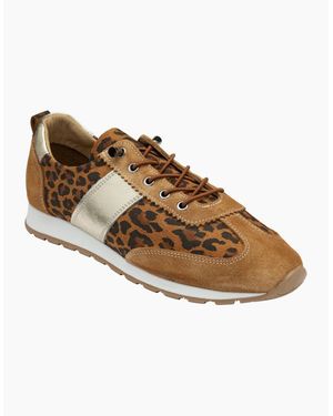 Lotus Lola Trainers - Brown