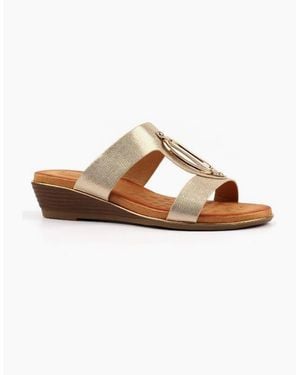 Lunar Claudia Jlh573 - Brown