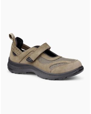 Hotter Ravine Shoes - Brown