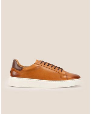 Oswin Hyde Harris Tan - Brown
