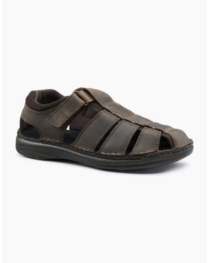 Hotter Dock Ii Sandals - Brown