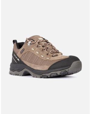Trespass Scree Walking Shoes - Brown