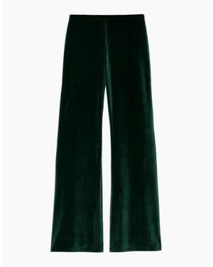 Ro&zo Petite Velvet Trousers - Green