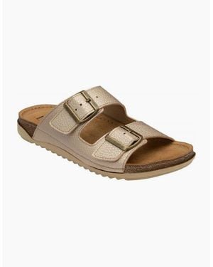 Lotus Rome Lades Mule Sandal - Brown