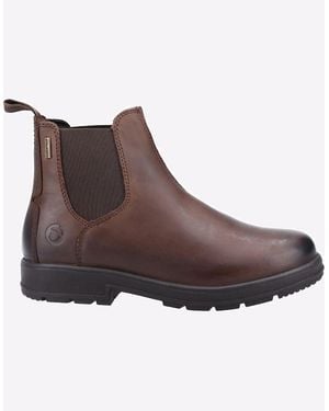 Cotswold Farmington Leather - Brown
