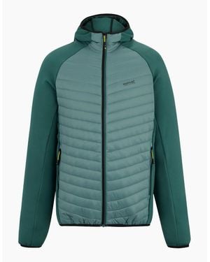 Regatta Andreson Hybrid Jacket - Green