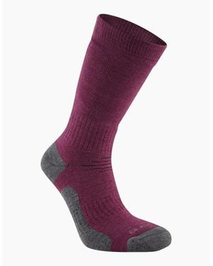 Craghoppers Adult Trek Merino Wool Socks - Purple