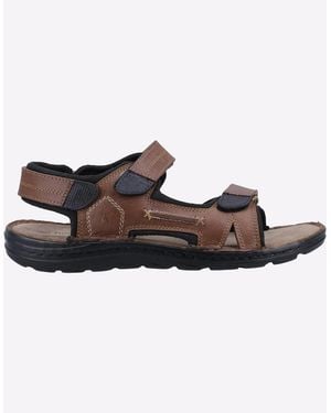 Hush Puppies Alistair Sandals Tan - Brown