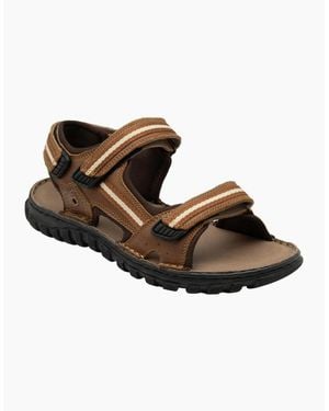 Lotus Gus Sandals - Brown
