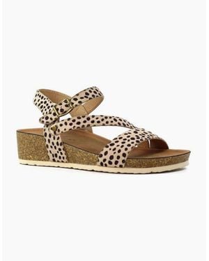 Lunar Muster Jlh529 - Brown