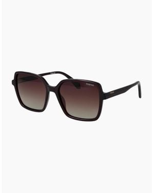 Polaroid Sunglasses Pld 4217/S B3Vla 56 - Brown