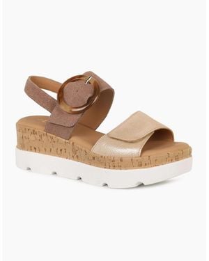 Lotus Cammie Sandals - Brown