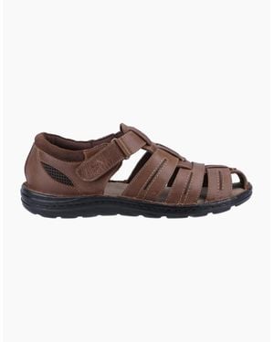 Hush Puppies Albert Sandals Tan - Brown