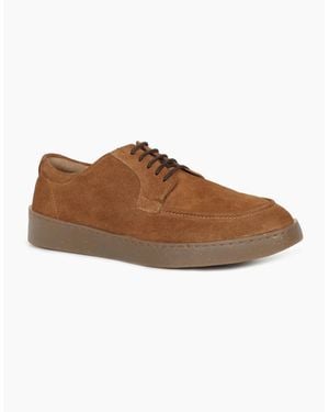 Hush Puppies Rafael Lace Shoes - Brown
