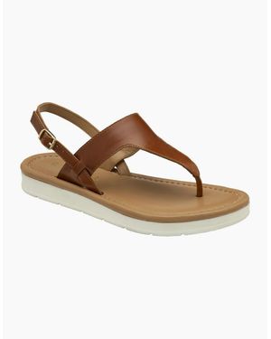 Ravel Cattal Toe Post Sandals - Brown