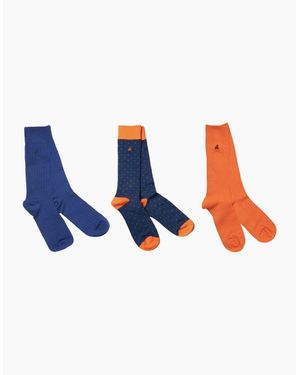 Swole Panda Bamboo Sock 3 Pack Gift Set - Blue