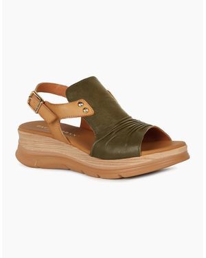 Paula Urban Riviera Ii Sandals - Brown