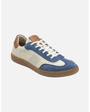 Lotus Frapporta Trainers - Blue