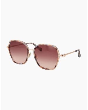 Ted Baker Sunglasses Tb1776 101 58 - Pink