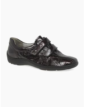 Waldläufer Stone Rip Tape Fastening Shoes - Black