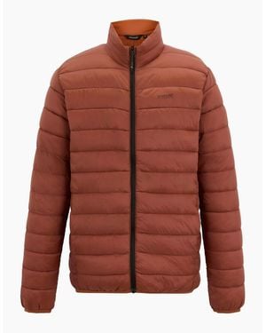 Regatta Marizion Padded Jacket - Brown
