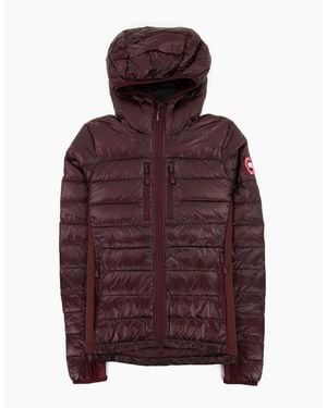Canada Goose Ladies Hybridge Lite Down Hoody Elderberry 810 - Purple