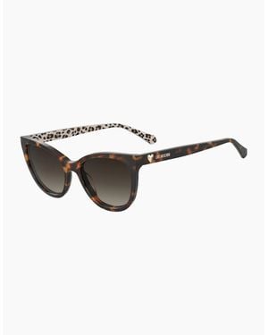 Moschino Moscsun Cat Eye Sung - Brown