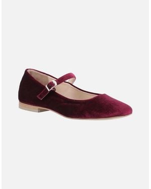 Hush Puppies Pasha Velvet Bordeaux Flats - Red