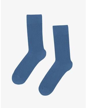 COLORFUL STANDARD Classic Organic Socks - Blue