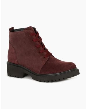 Waldläufer Lucille Ankle Boots - Brown