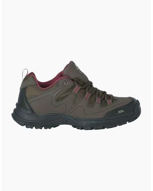 Trespass Ladies Mitzi Low Cut Hiking Shoes - Brown