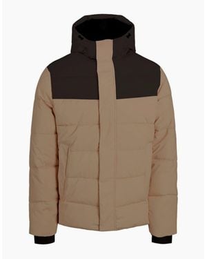 Jack & Jones Solid Patterned Hooded Ribbed Cuff Puffer Jacket - Brown