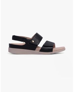 Strive Riviera Ii Sandals - Black