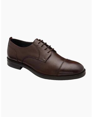 Frank Wright Keetley Derby Shoes - Brown