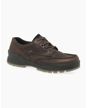 Ecco Chiltern Gore-Tex Shoes - Brown
