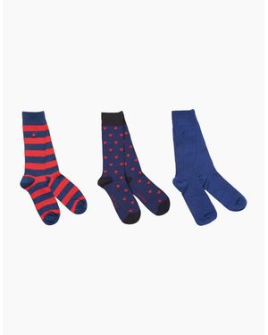 Swole Panda Bamboo Sock 3 Pack Gift Set - Blue