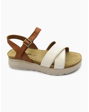 Josef Seibel Celine 03 Ladies Sandal - Brown