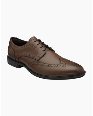 Lotus Skipton Brogues - Brown