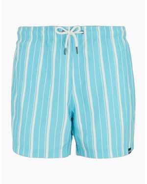 Regatta Loras Stripe Swim Shorts - Blue