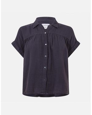Velvet By Graham & Spencer Regular Fit Short Sleeve Shirt - Blue
