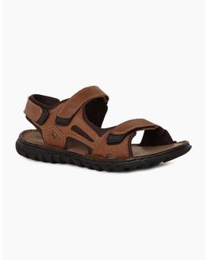 Lotus Noah Sandals - Brown