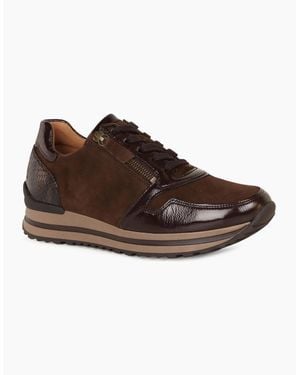 Gabor Nulon Trainers - Brown