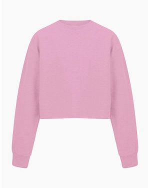 Miso Cropped Sweatshirt - Pink