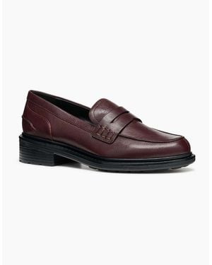 Geox D Walk Pleasure F Leather Wine Moccasins Shoes - Brown