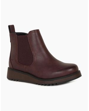 Heavenly Feet Rolo 2 Chelsea Boots - Brown