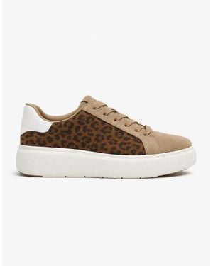 Fitflop Rtg Suede Leopard Lace Up Casual Trainers Cappuccino - Brown