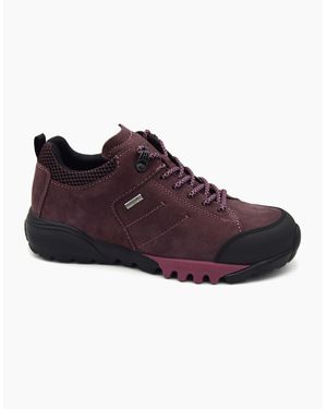 Waldläufer Amiata 787952 - Purple