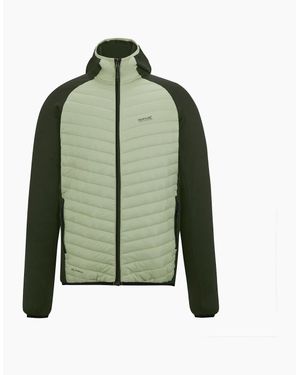 Regatta Andreson Hybrid Jacket - Green